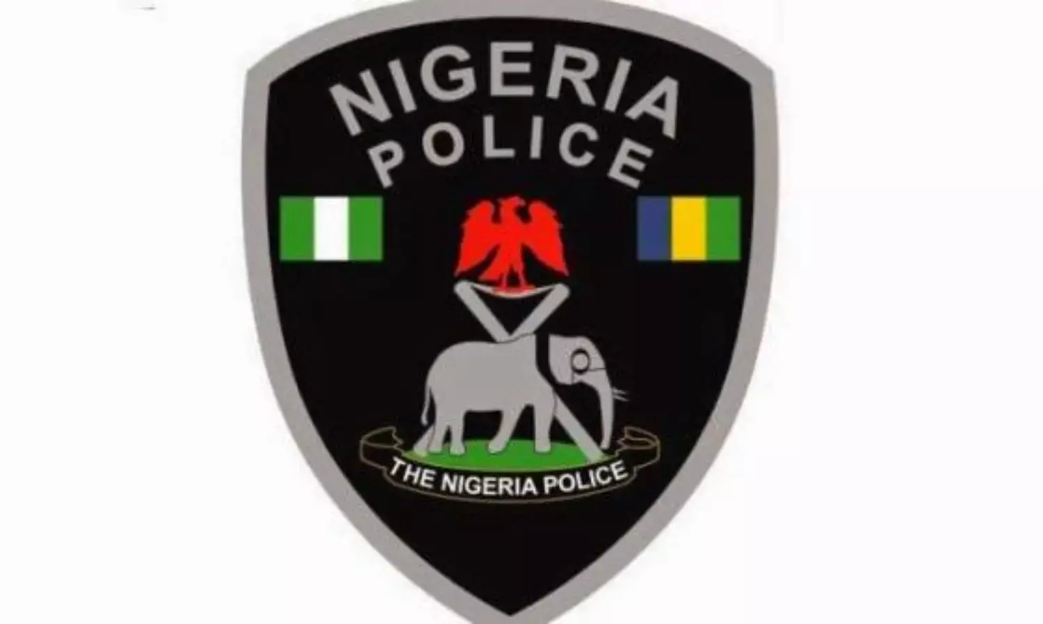 Nigeria Police arrest 12 for kidnapping, robbery in Niger State