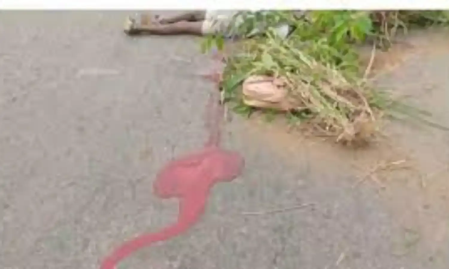 Commercial vehicle killed 3 pupils, siblings