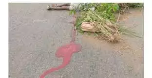 Commercial vehicle killed 3 pupils, siblings