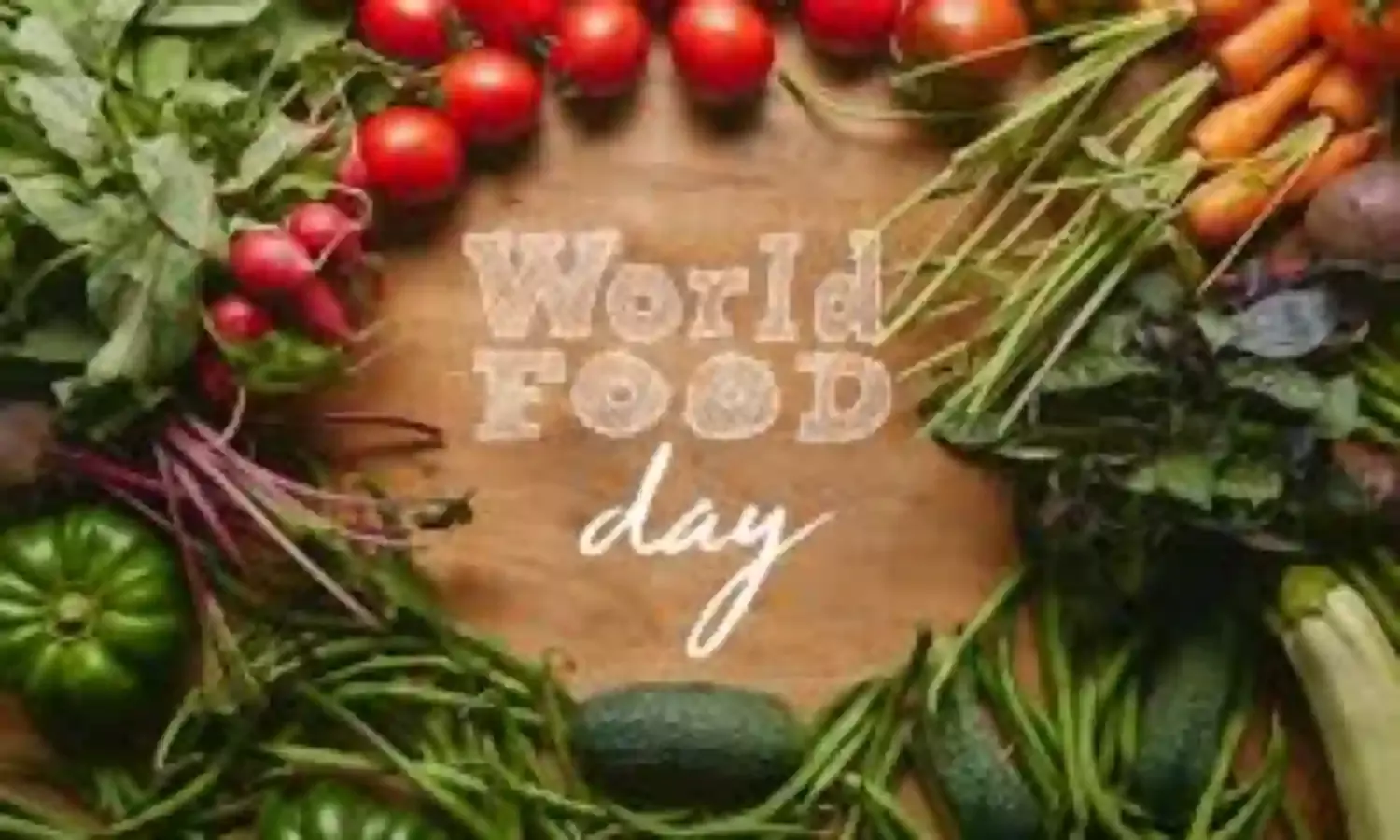 FAO, Ministry award schools for garden project