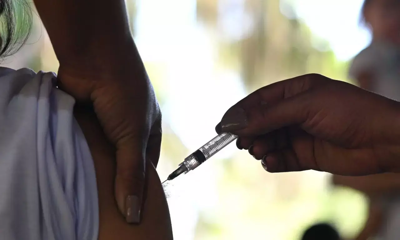 Virologists call for upgrade of malaria vaccine