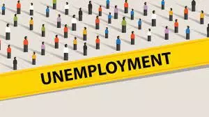 Nigeria Diaspora gives solution to youth unemployment