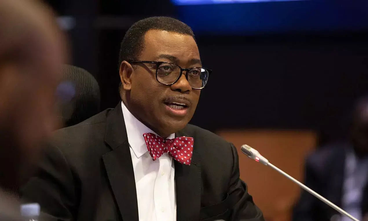Close gap between policy ideas and implementation, says Adesina