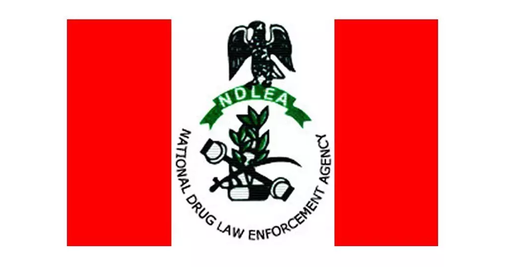 NDLEA arrests drug dealer behind London-bound consignments NDLEA arrests drug dealer behind London-bound consignments