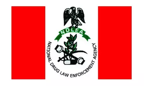 NDLEA arrests drug dealer behind London-bound consignments