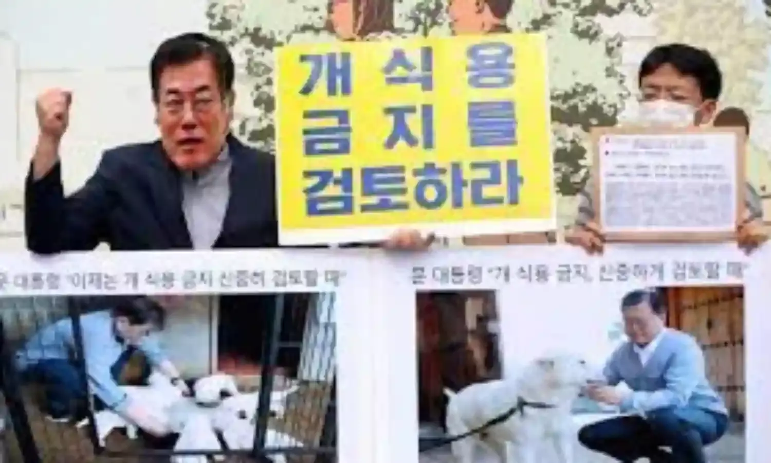 S. Korea to decide on dog meat consumption