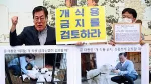 S. Korea to decide on dog meat consumption S. Korea to decide on dog meat consumption