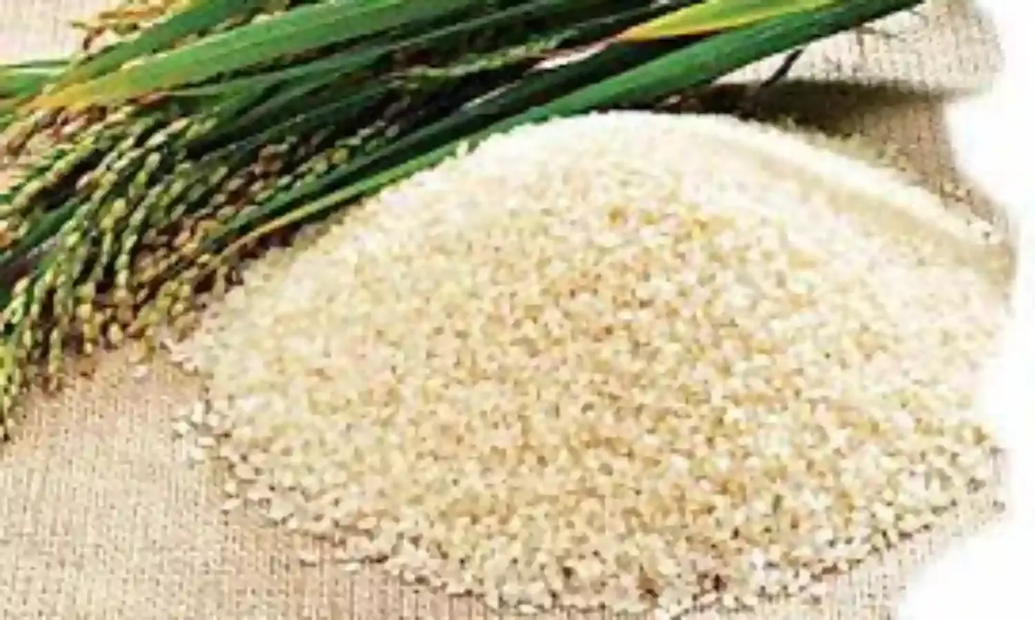 Local Nigerian rice reduces sleep disorder, other health challenges – nutritionists