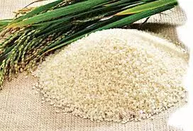 Local Nigerian rice reduces sleep disorder, other health challenges – nutritionists