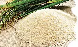 Local Nigerian rice reduces sleep disorder, other health challenges – nutritionists Local Nigerian rice reduces sleep disorder, other health challenges – nutritionists