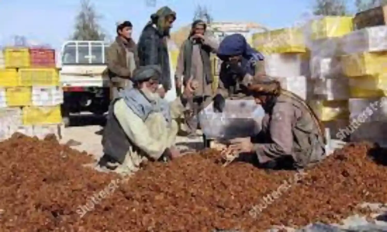 Afghanistan exports dried fruits, raisins