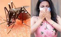 Dengue cases higher than COVID-19 infections in India