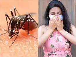 Dengue cases higher than COVID-19 infections in India Dengue cases higher than COVID-19 infections in India