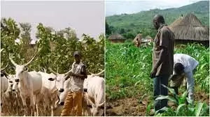 Herders, farmers clashes: Stakeholders want FG to declare State of Emergency