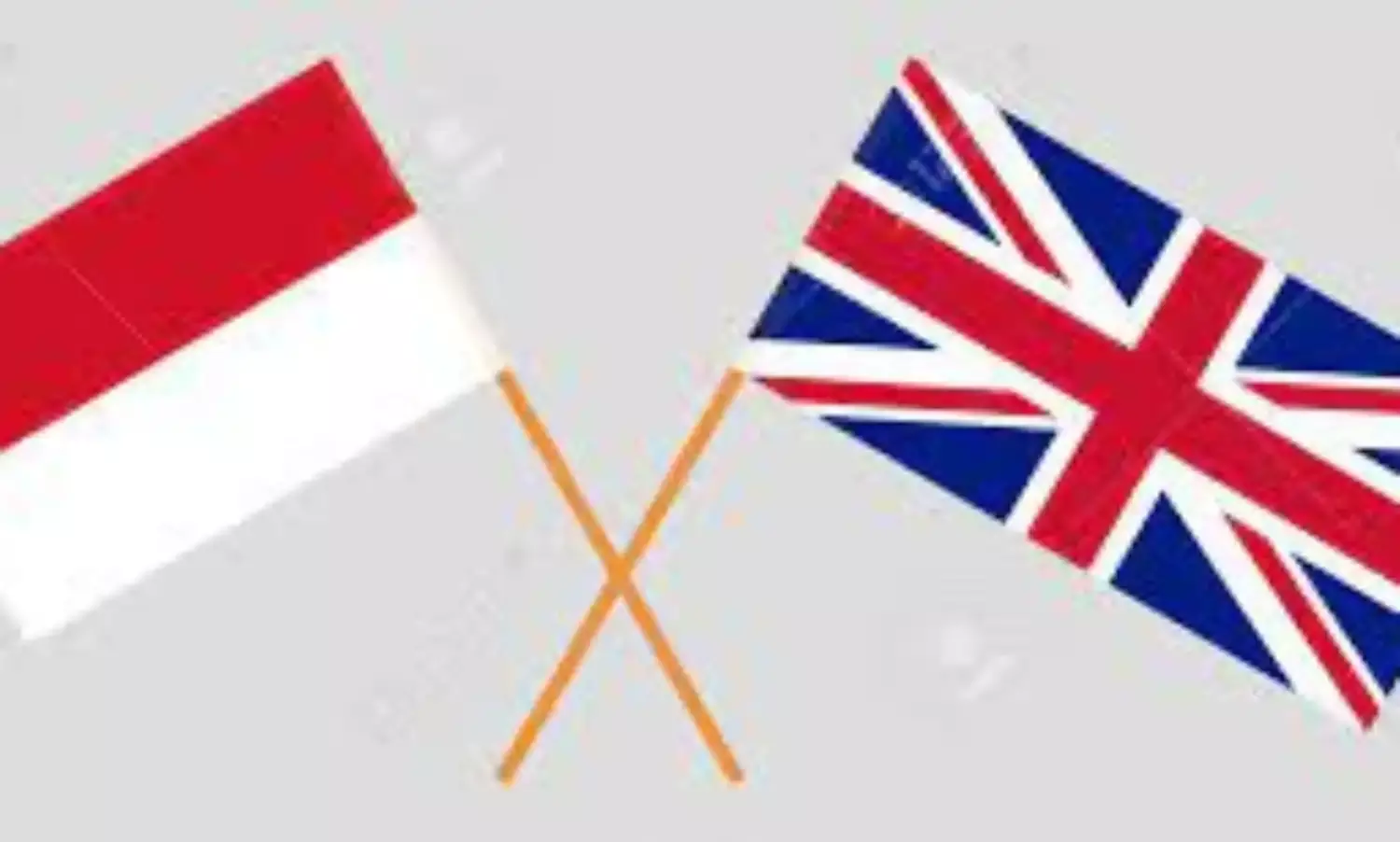 Indonesia, Britain  jointly invest in electric vehicle batteries production