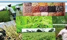 Seed companies inaugurates start-up company in Nigeria