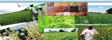 Seed companies inaugurates start-up company in Nigeria Seed companies inaugurates start-up company in Nigeria