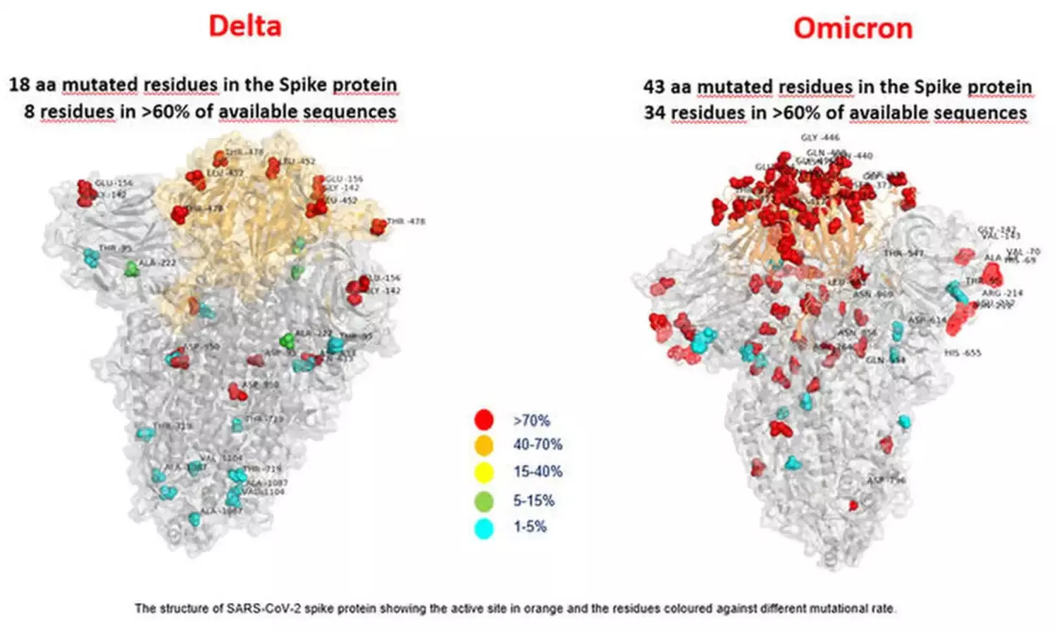 Not clear whether Omicron is more transmissible than Delta variants, says WHO