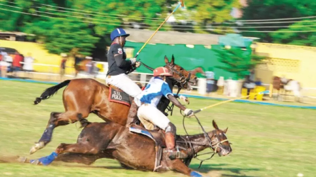 Lintex emerges winners of 2021 Nigeria National Polo Tournament Presidents Cup