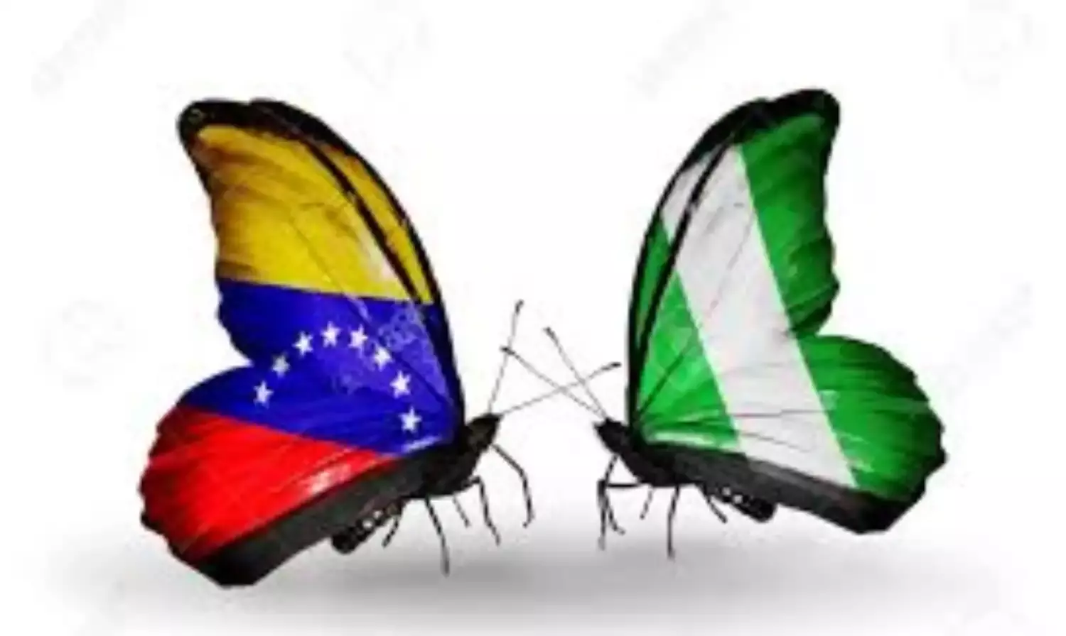 Revive Nigeria-Venezuela petroleum partnership to reduce petroleum products price- Envoy