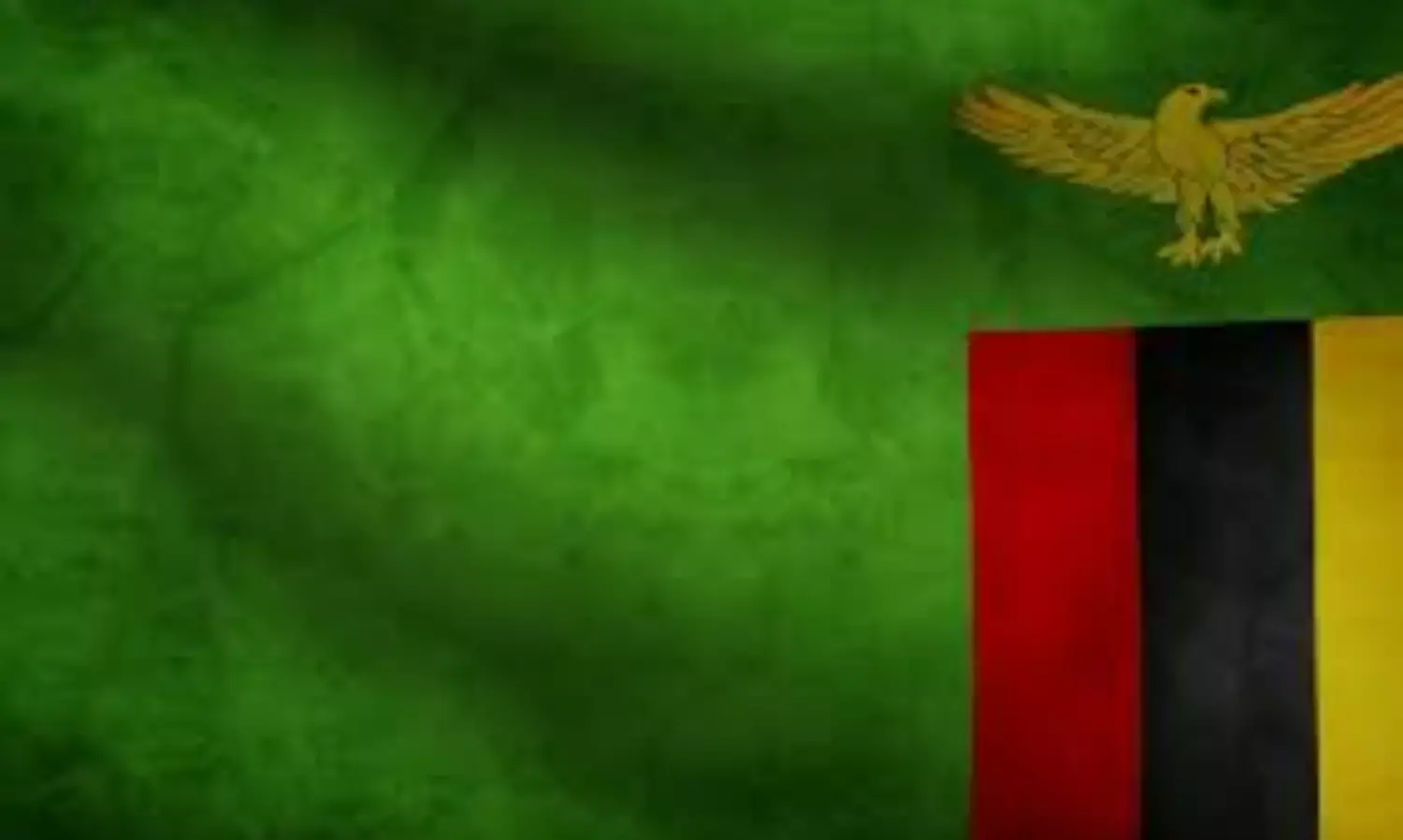 Zambia may seek longer time to repay debts – Minister