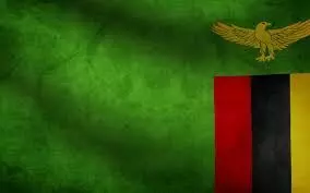 Zambia may seek longer time to repay debts – Minister