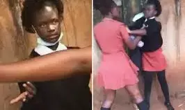 Bullying: Use masculinity to promote kindness, Child specialist urges young boys