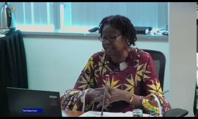 Explore African culture for revenue generation, don tell leaders