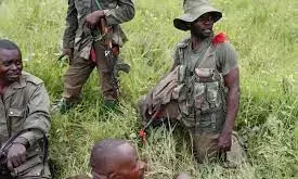 Ugandan troops presence is for short time, says Congolese president