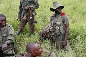 Ugandan troops presence is for short time, says Congolese president