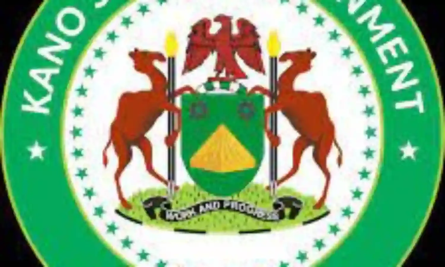 Regard security not governments business but everyones concern- Kano Govt.