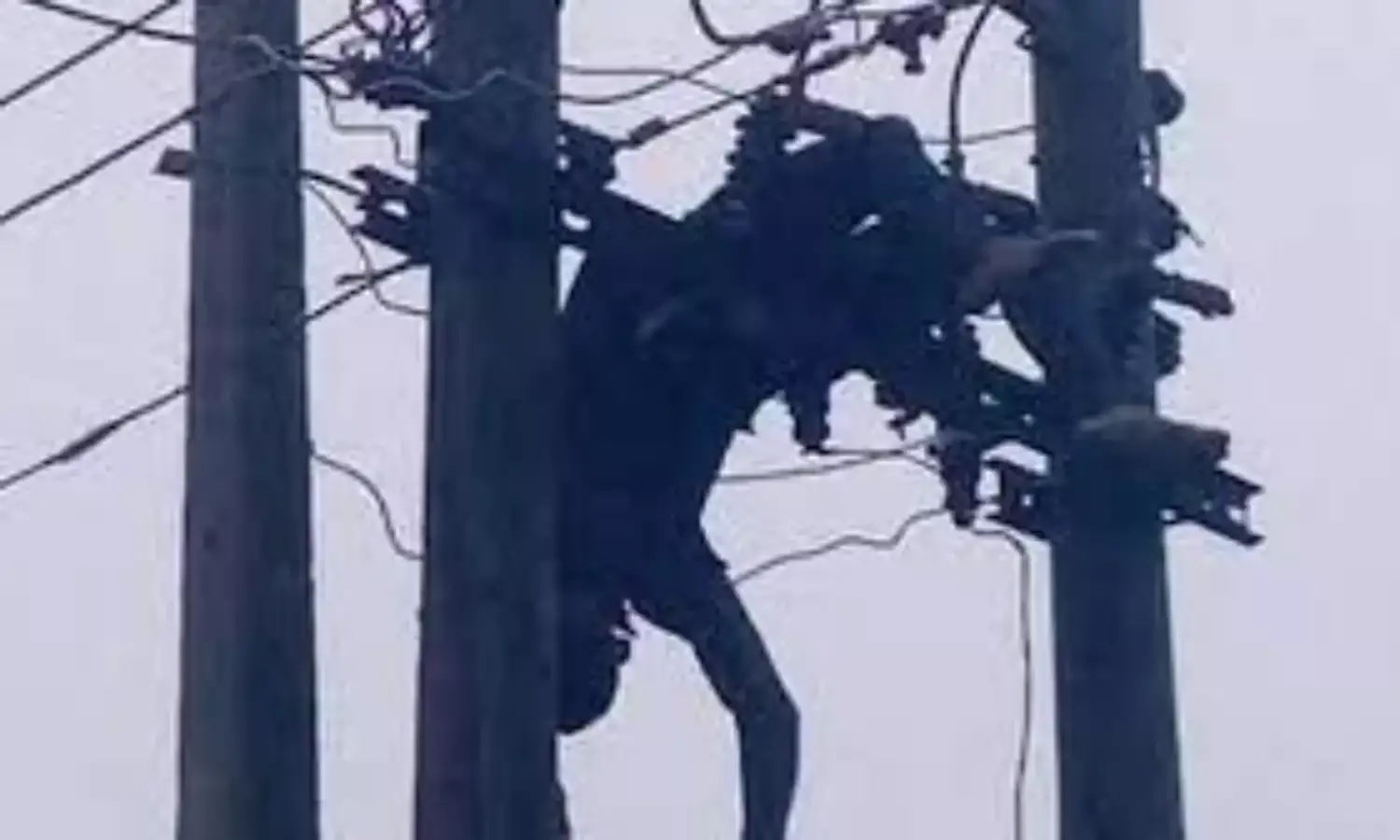 Man electrocuted while stealing transformer cables