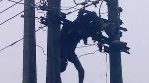 Man electrocuted while stealing transformer cables