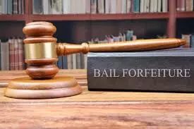 Court orders forfeiture of 2 cell phones, car of internet fraudster