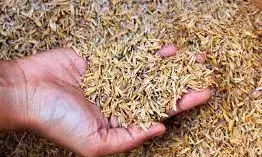 Lagos govt. train 100 farmers on conversion of rice waste to wealth
