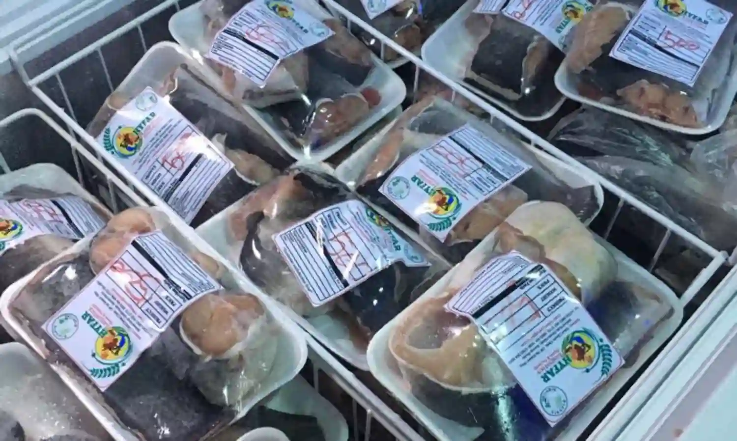 Expert urges better preservation of Catfish to boost value-chain