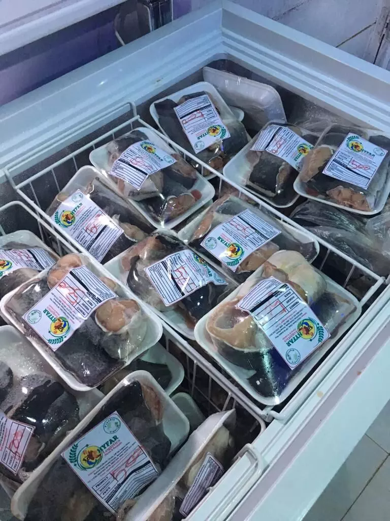 Expert urges better preservation of Catfish to boost value-chain