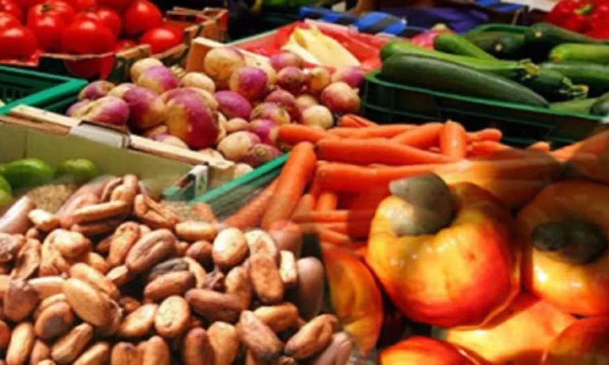 Utilizing non-oil exports to diversify Nigerias revenue