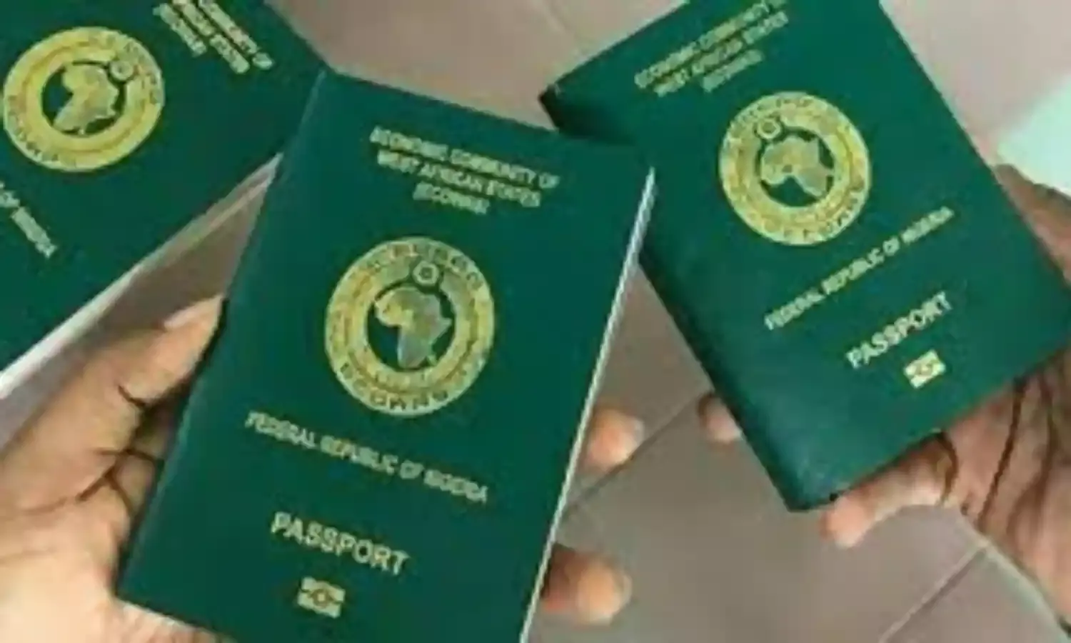 Shortage of passports affect 1.5 million Nigerians in Italy- NIDOE