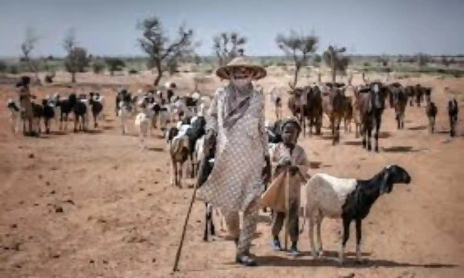 Fulani group to establish football association for nomadic children