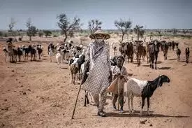 Fulani group to establish football association for nomadic children