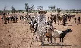 Fulani group to establish football association for nomadic children