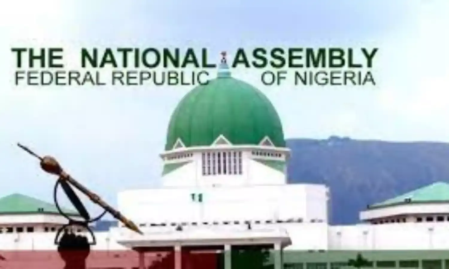 IPAC advises National Assembly to remove clauses regarding direct primary election