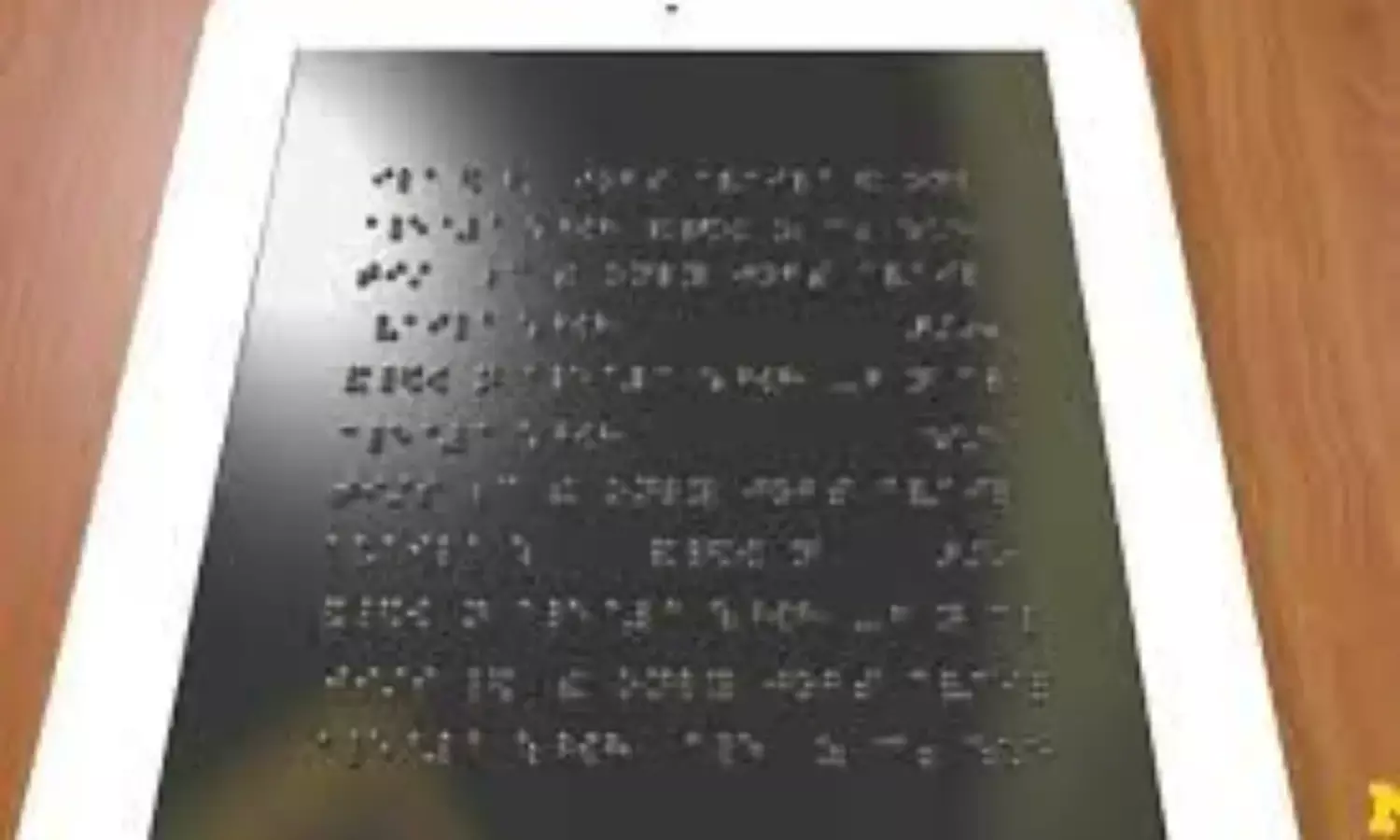 Make braille available to visually impaired students, NGOs urge institutions