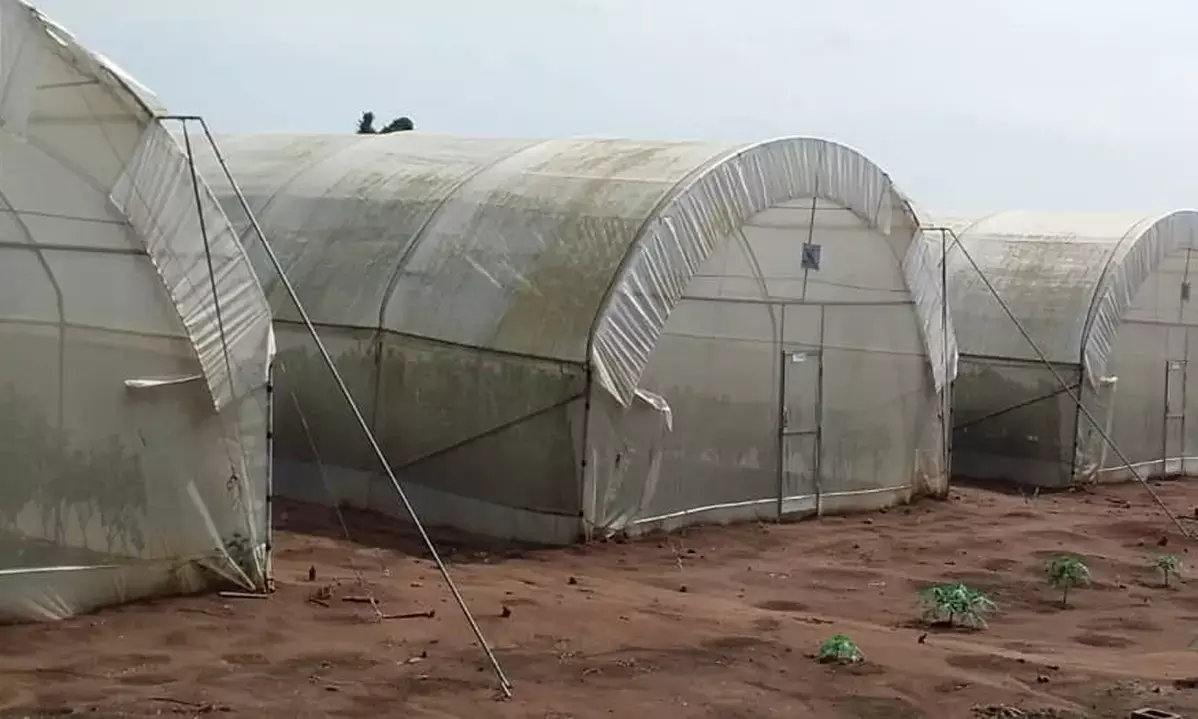 Ogun Govt. to revive abandoned Green House project