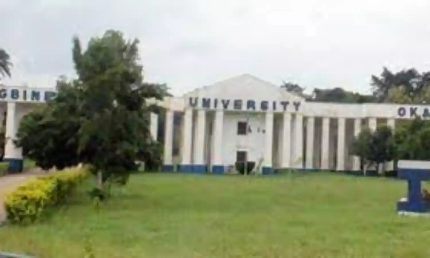 Igbinedion Varsity appoints  Adeghe DVC