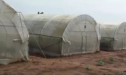 Ogun Govt. to revive abandoned Green House project