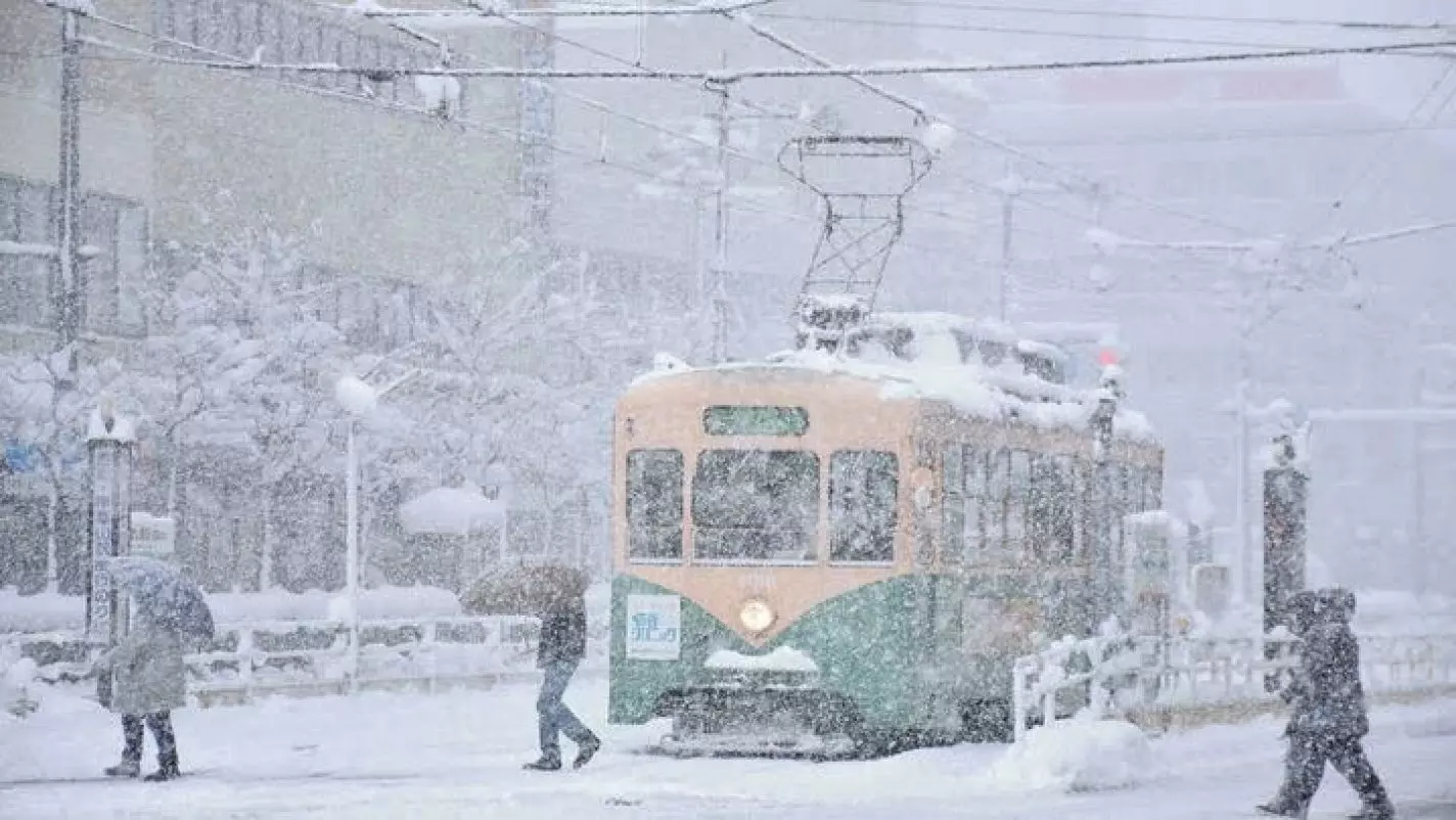 Japan cancels flights over northern regions snowstorm