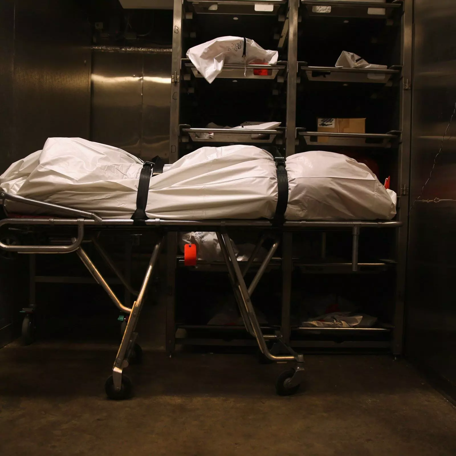 Allow voluntary body donation for medical training, Anatomist urges NASS Allow voluntary body donation for medical training, Anatomist urges NASS