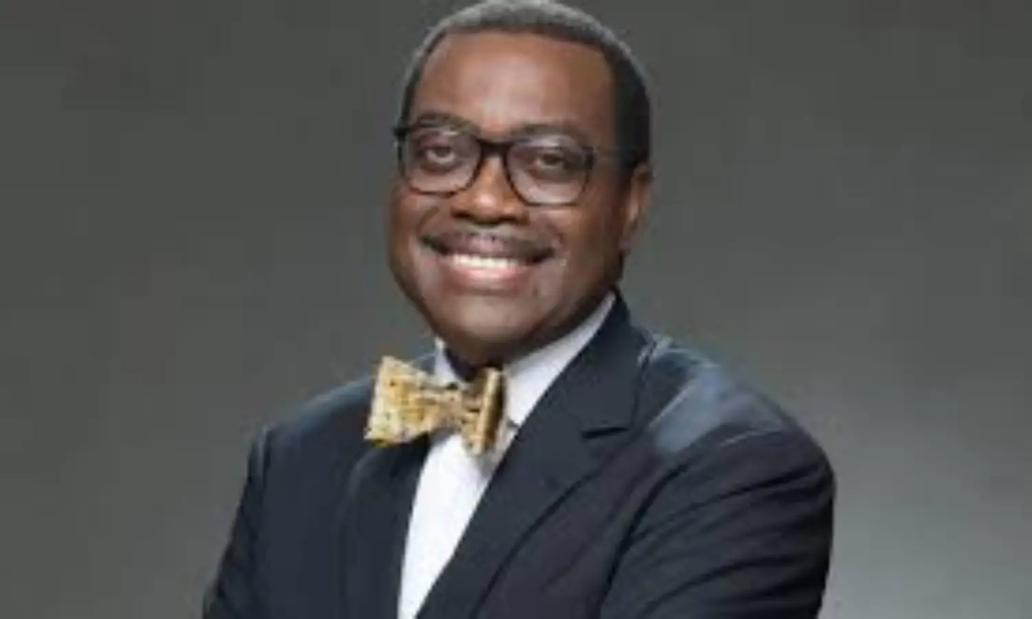 Women group want AfDBs President to join presidential race